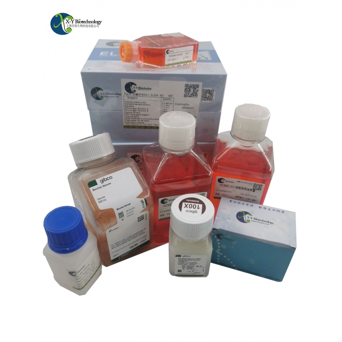 φ35mm细胞培养皿XY90165 - 信裕生物官方网站-信裕生物-试剂盒,ELISA 