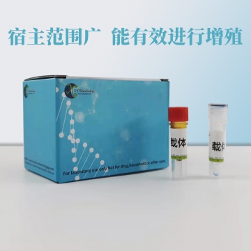 细胞、菌株、载体 - 上海信裕生物 - 信裕