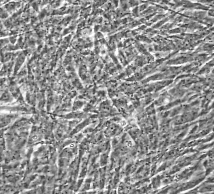 image 2021100902331800011