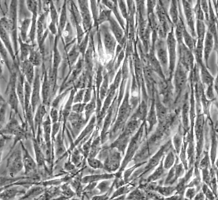 image 2021100905095413464