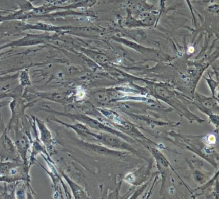 image 2021100905132606140
