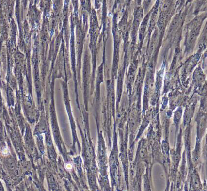 image 2021101103273611723