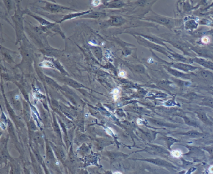 image 2021101103415397879