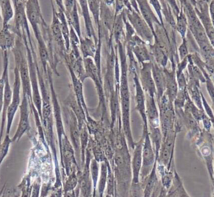 image 2021101104291315367