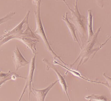 image 2021101105373642156