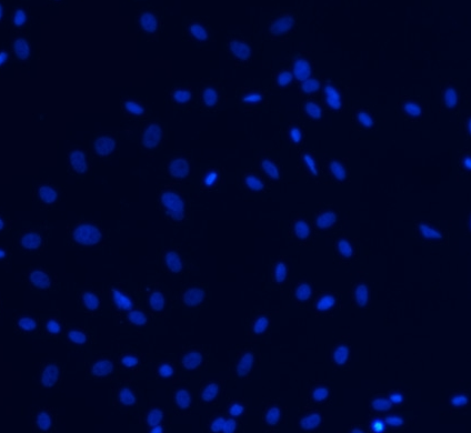 image 2021101304182428916