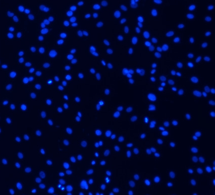 image 2021101405174868594