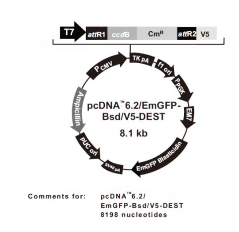 image 2022030201273087312