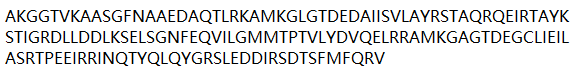 2024100910410365385